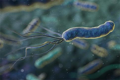 1662157245288761.jpg 攝圖網(wǎng)_401909522_banner_幽門螺桿菌(非企業(yè)商用).jpg