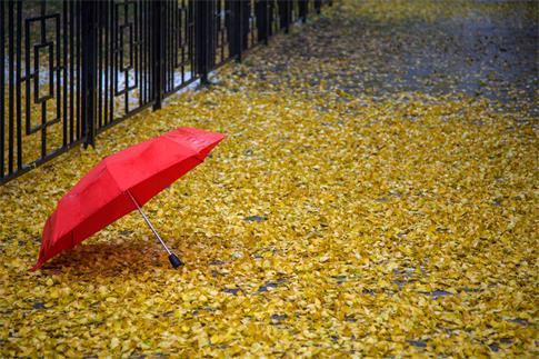 1666372293648138.jpg 攝圖網_500140757_banner_秋雨.紅傘(非企業商用).jpg