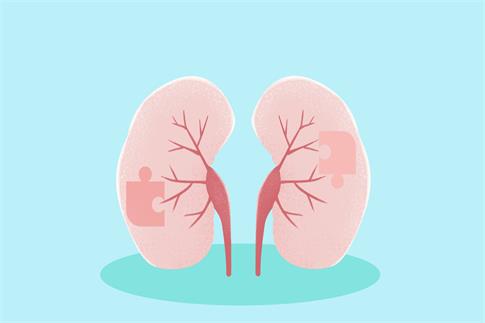 1667689644869400.jpg 攝圖網_400087185_banner_腎虧(非企業商用).jpg