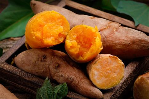 1669999186510941.jpg 攝圖網(wǎng)_501245147_banner_烤紅薯(非企業(yè)商用).jpg