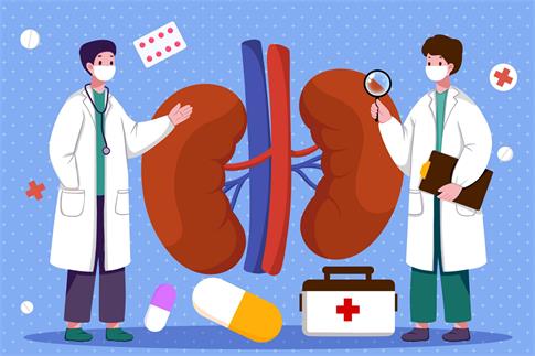 1676916426624383.jpg 攝圖網_402163482_banner_腎臟醫療插畫(企業商用).jpg