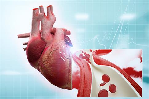 1694736323754852.jpg 攝圖網(wǎng)_401798678_banner_心臟病(企業(yè)商用).jpg