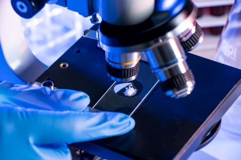 1714613333886373.jpg 攝圖網_501181377_顯微鏡(企業商用).jpg