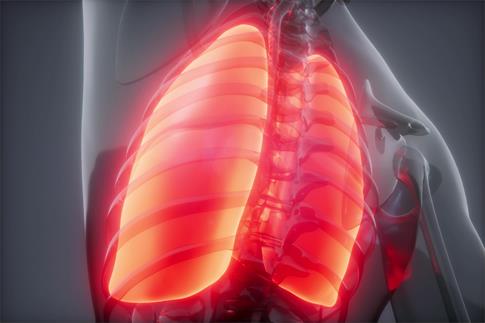 1716431790615881.jpg 攝圖網_300025015_人體肺發光的科學解剖掃描人類肺部放射學檢查(企業商用).jpg