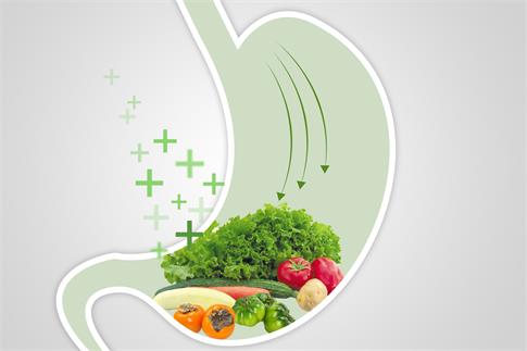 �z�D�W_500850486_banner_ �Gɫ�߲˽���θ���ʳ����I���ã�.jpg