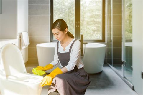 1735960514887244.jpg 攝圖網_401685778_清理馬桶(企業商用).jpg