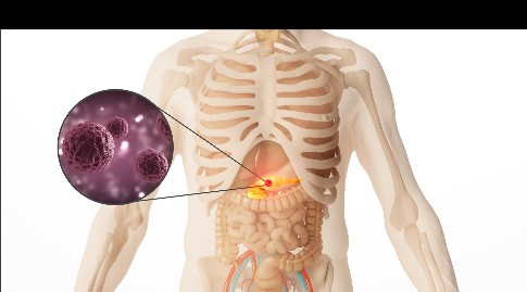 �޸ĳߴ� (2).jpeg