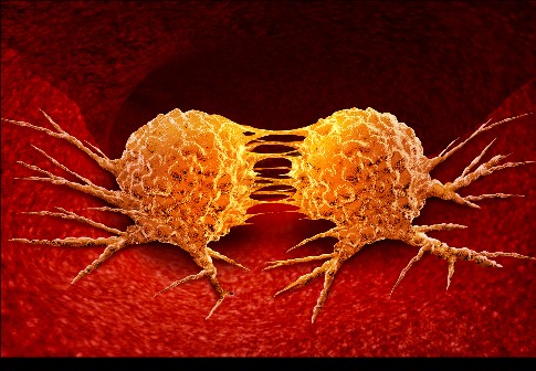 �޸ĳߴ� (1).jpeg