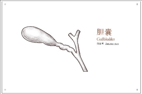 �޸ĳߴ� (10).jpeg