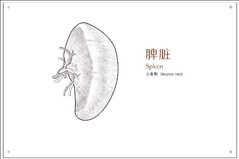 1746412474986910.jpeg 修改尺寸 (1).jpeg