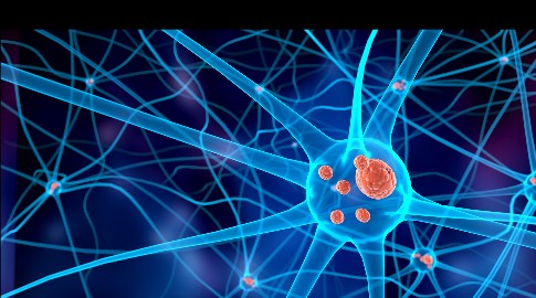 �޸ĳߴ� (3).jpeg