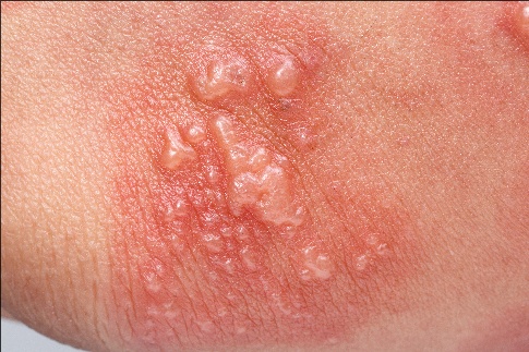 �޸ĳߴ� (7).jpeg