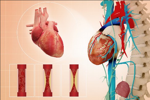 �޸ĳߴ� (8).jpeg