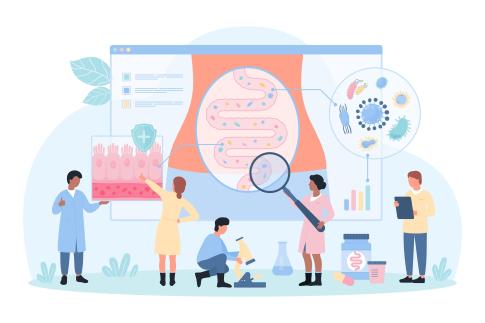 1752707608705491.jpg 攝圖網_332005964_腸道微生物組研究,小人用放大鏡檢查消化道健康(企業商用).jpg